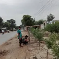 Green Seekers Activity